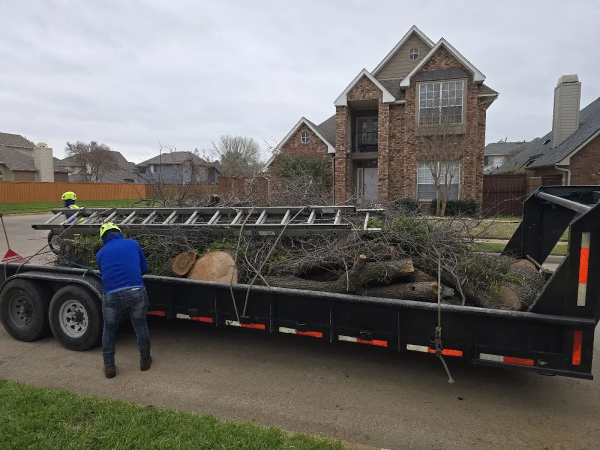 Expert Lot Clearing with proper safety equipment in Gregory